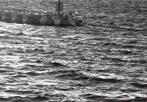 Polarized camera used for object detection