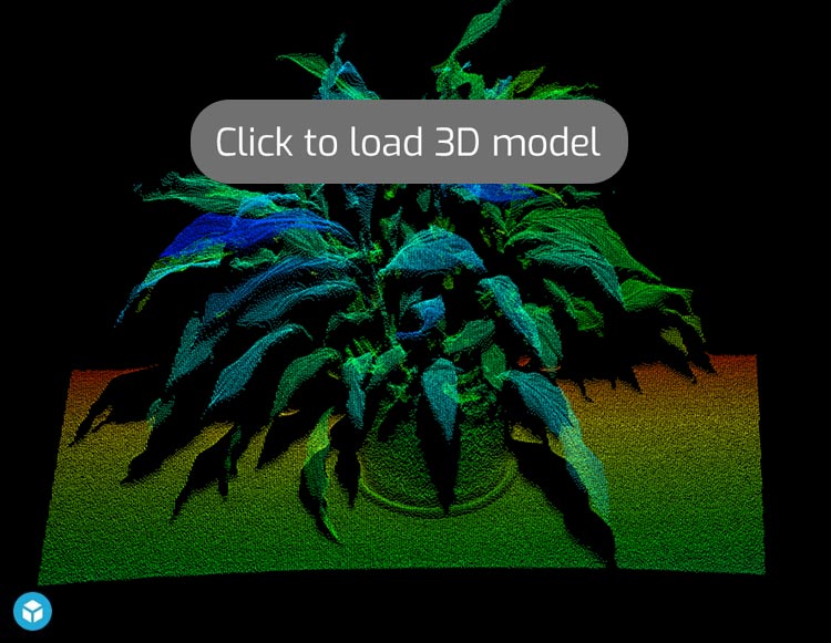 3D Point Cloud of Plant