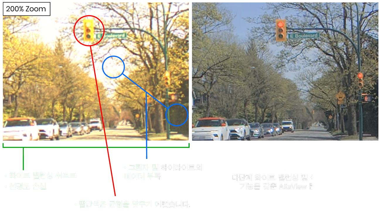 AltaView 톤 매핑 출력